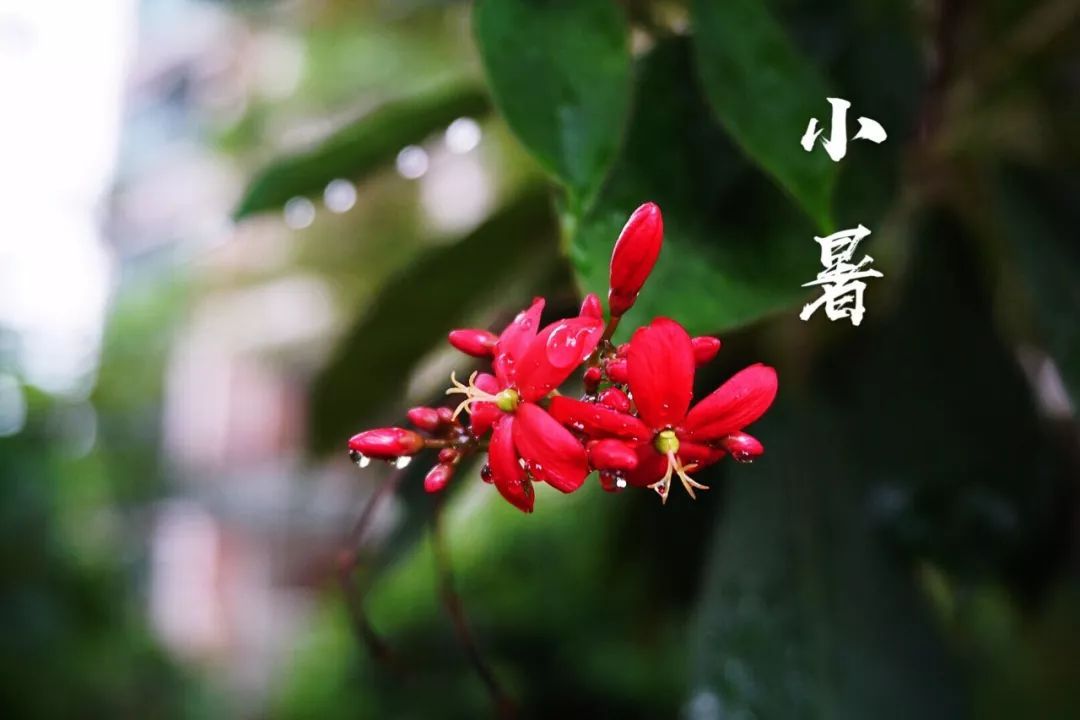 小暑|時(shí)光無涯，KA螺旋錐減速機(jī)廠家